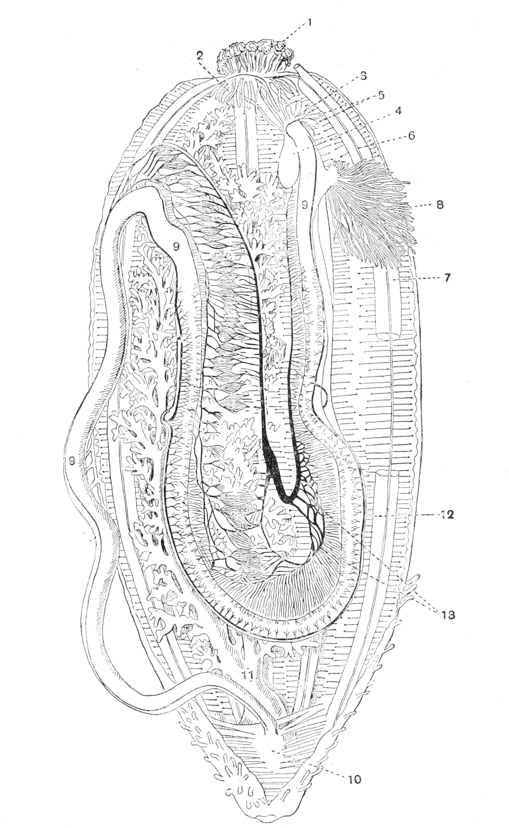 fig256