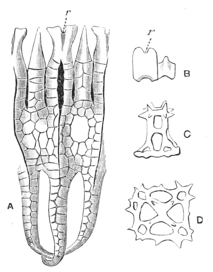 fig257