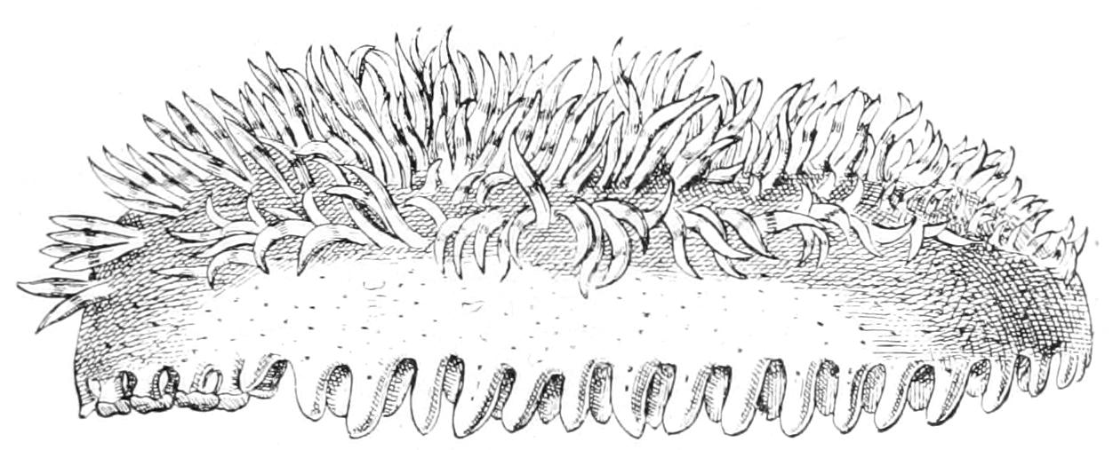 fig258