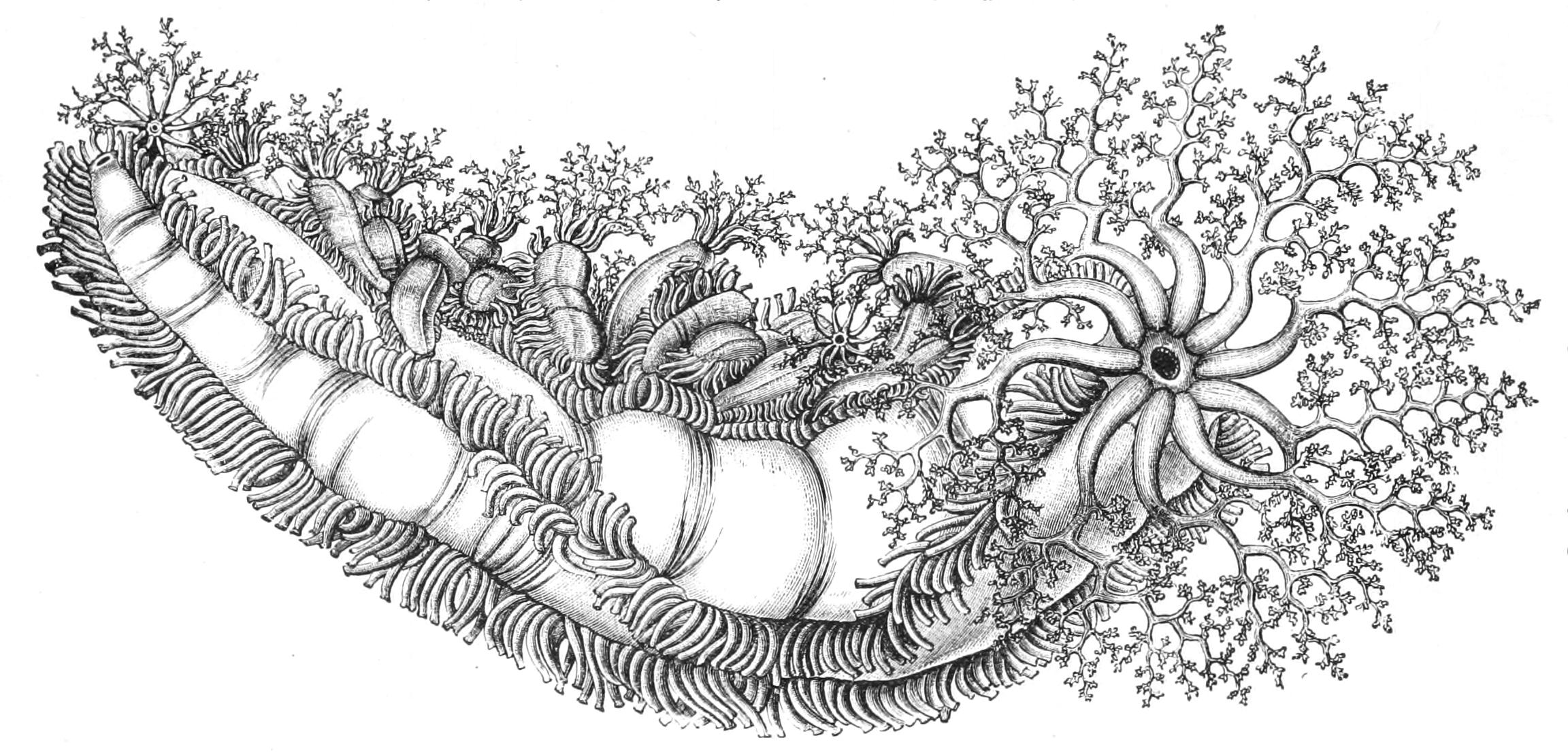 fig259
