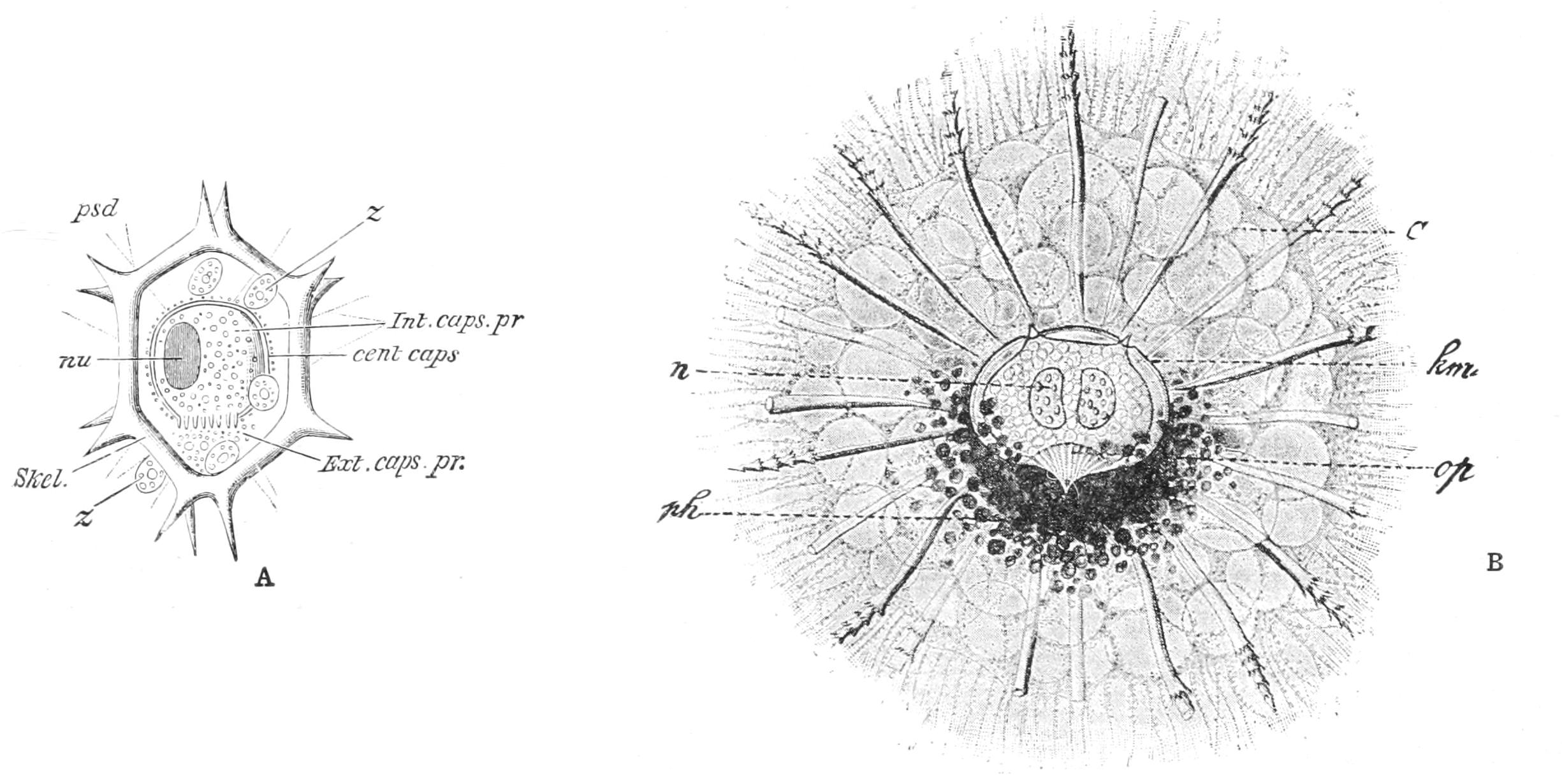 fig26