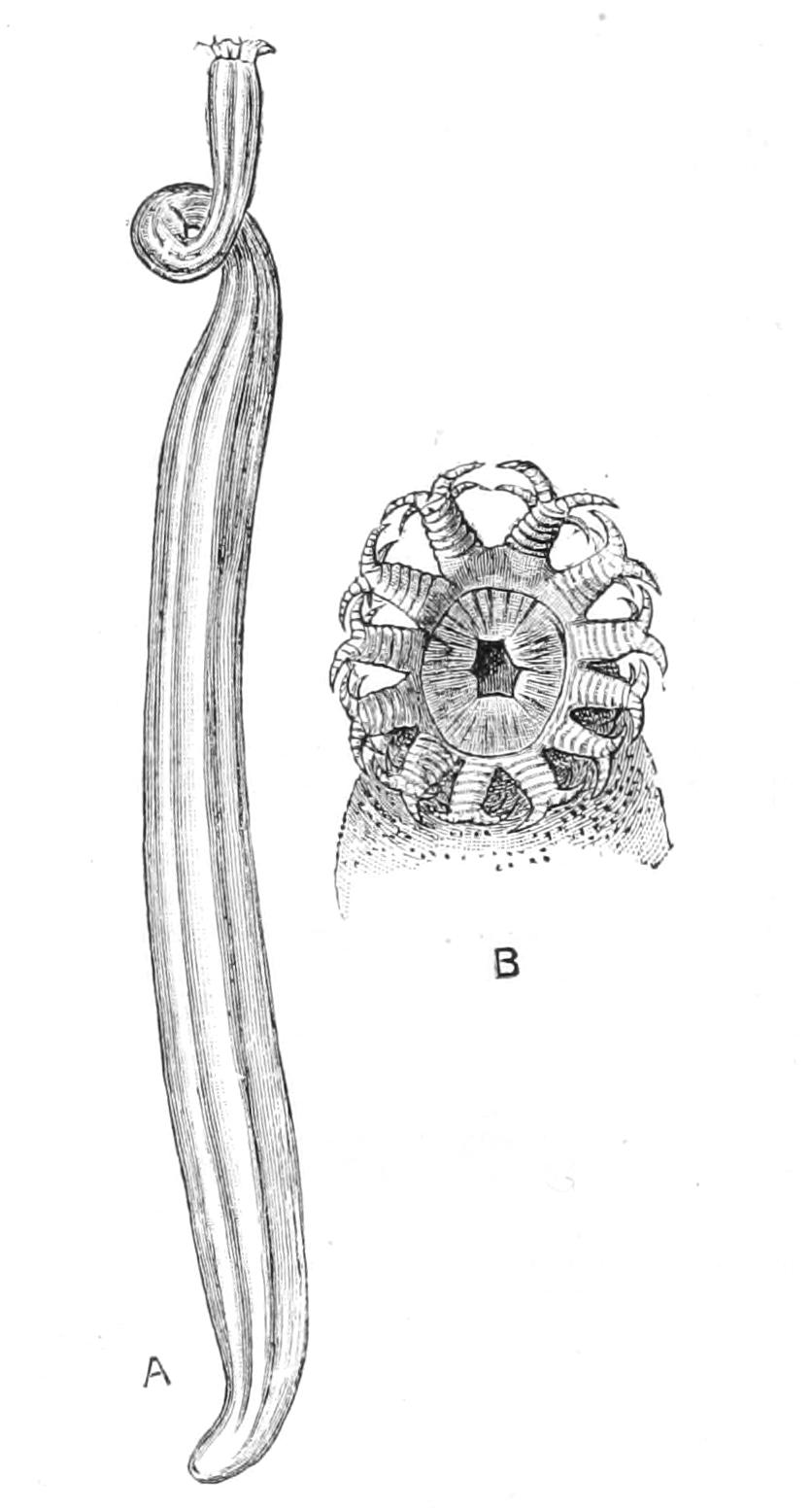 fig263