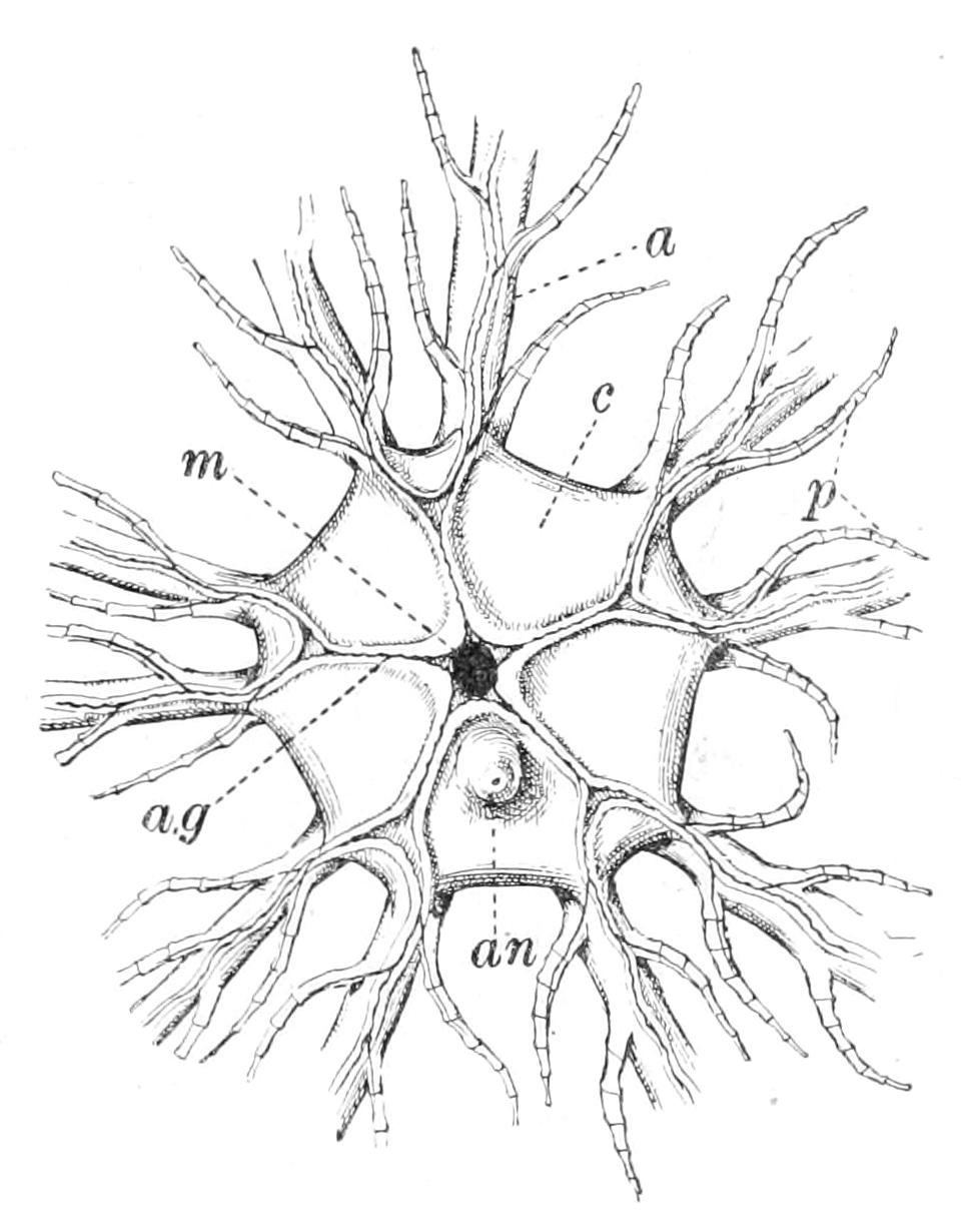 fig264