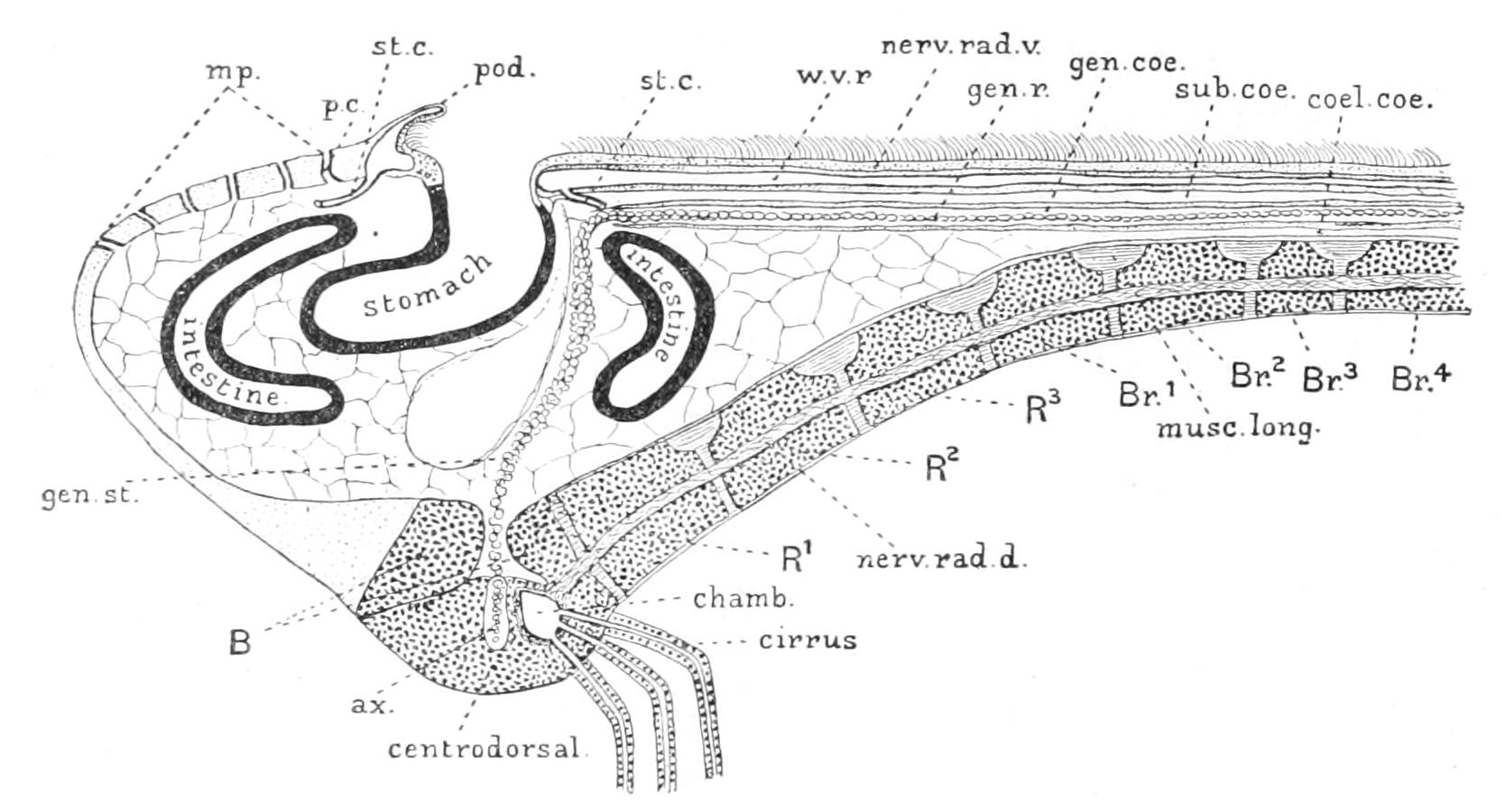 fig266