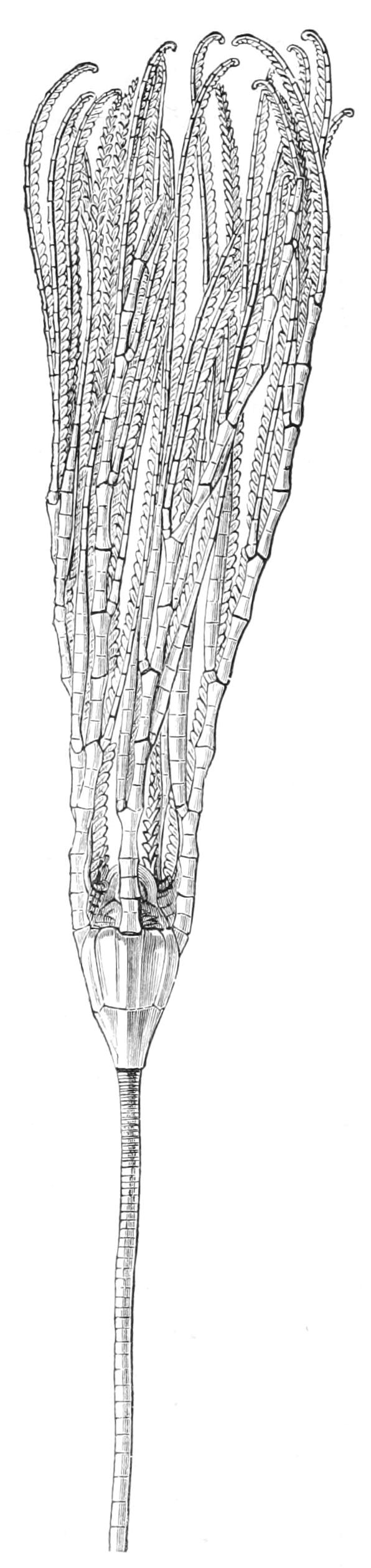 fig268