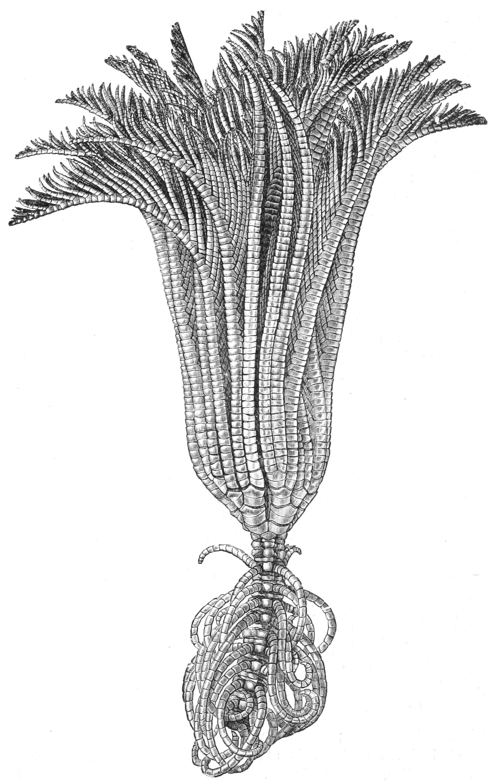 fig272