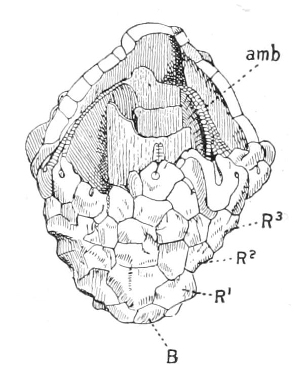 fig273