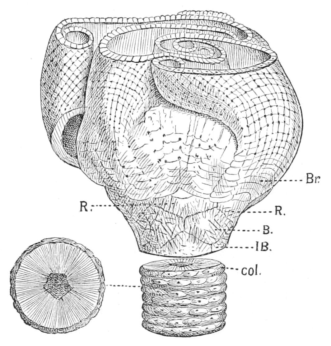 fig274