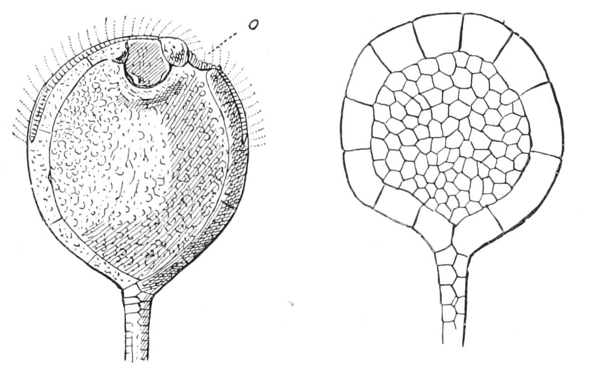 fig276
