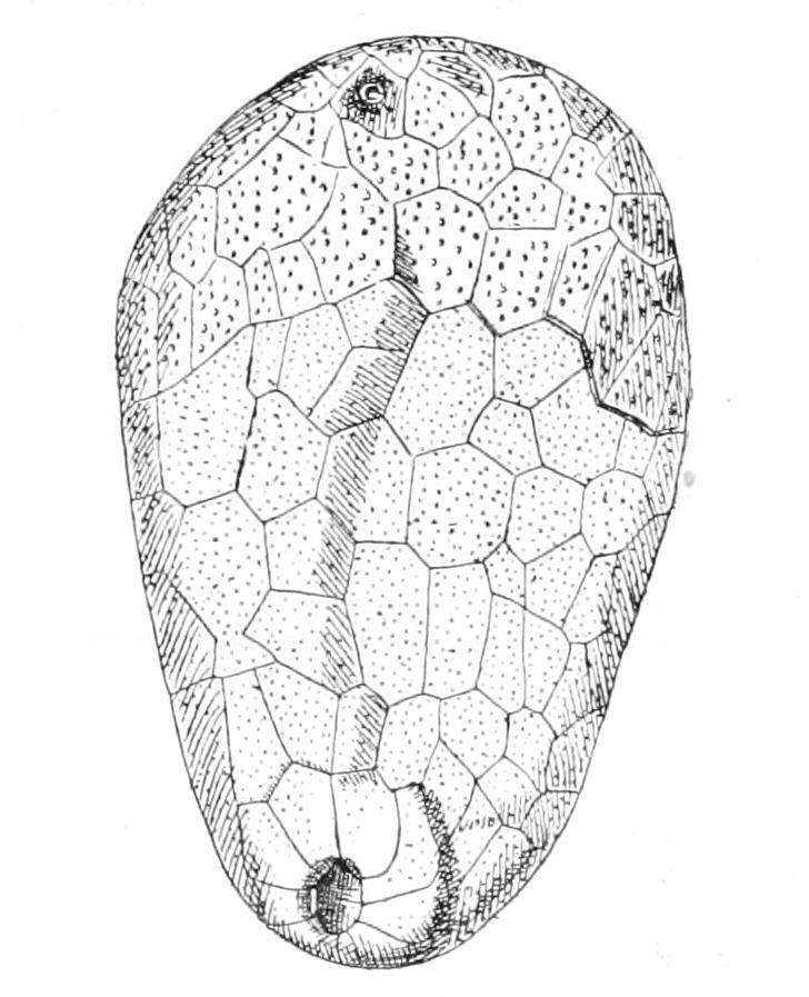 fig278