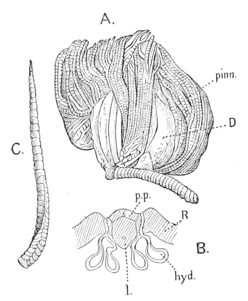 fig279