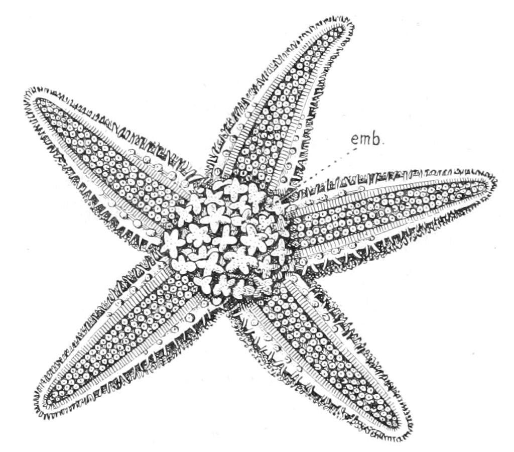 fig280