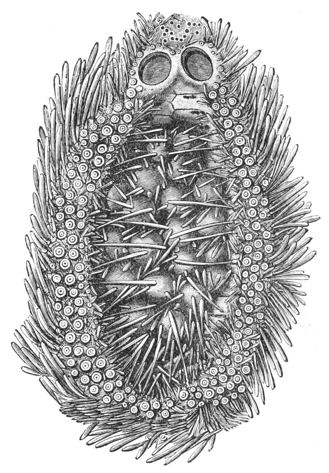 fig281