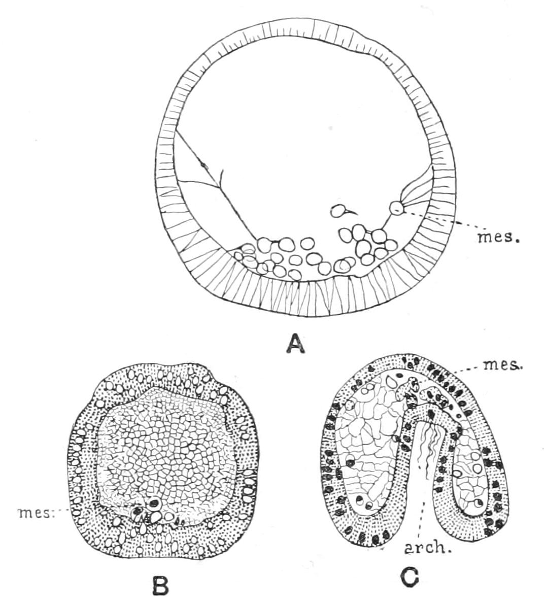 fig282