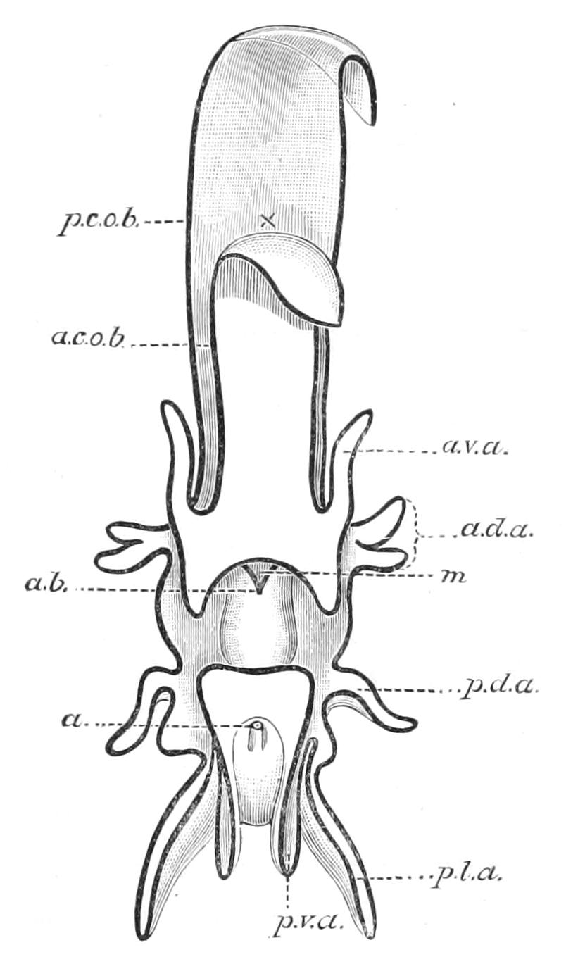 fig283