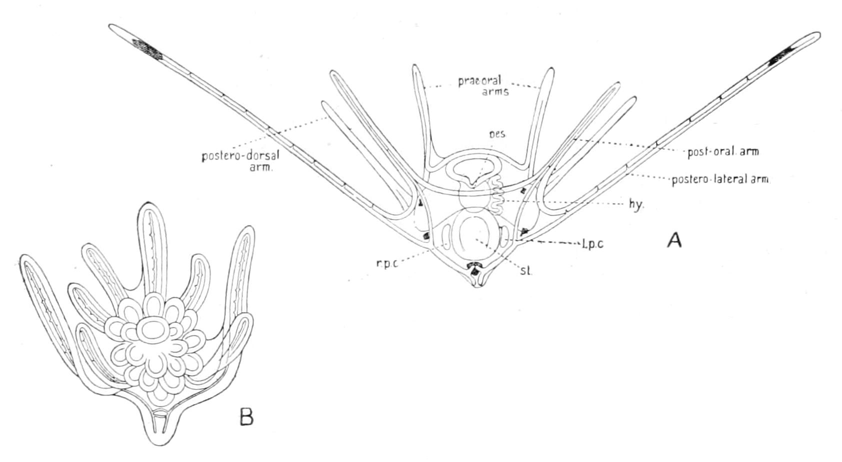 fig284