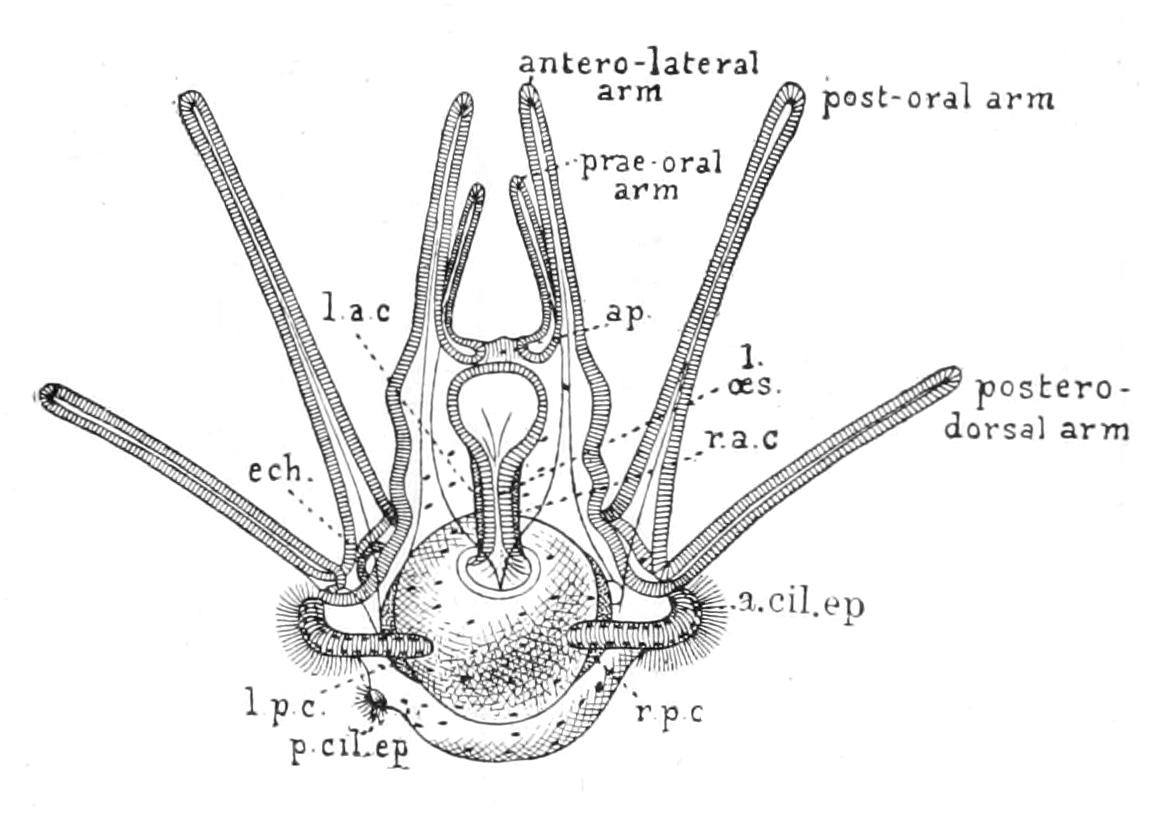 fig285