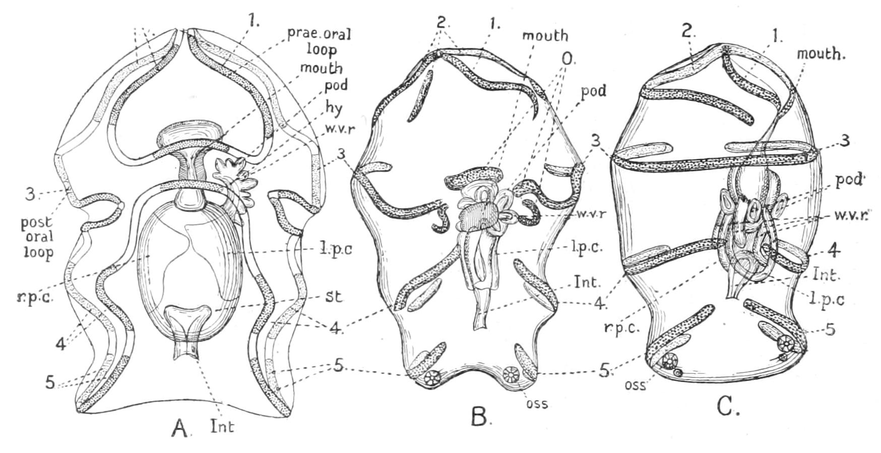 fig286