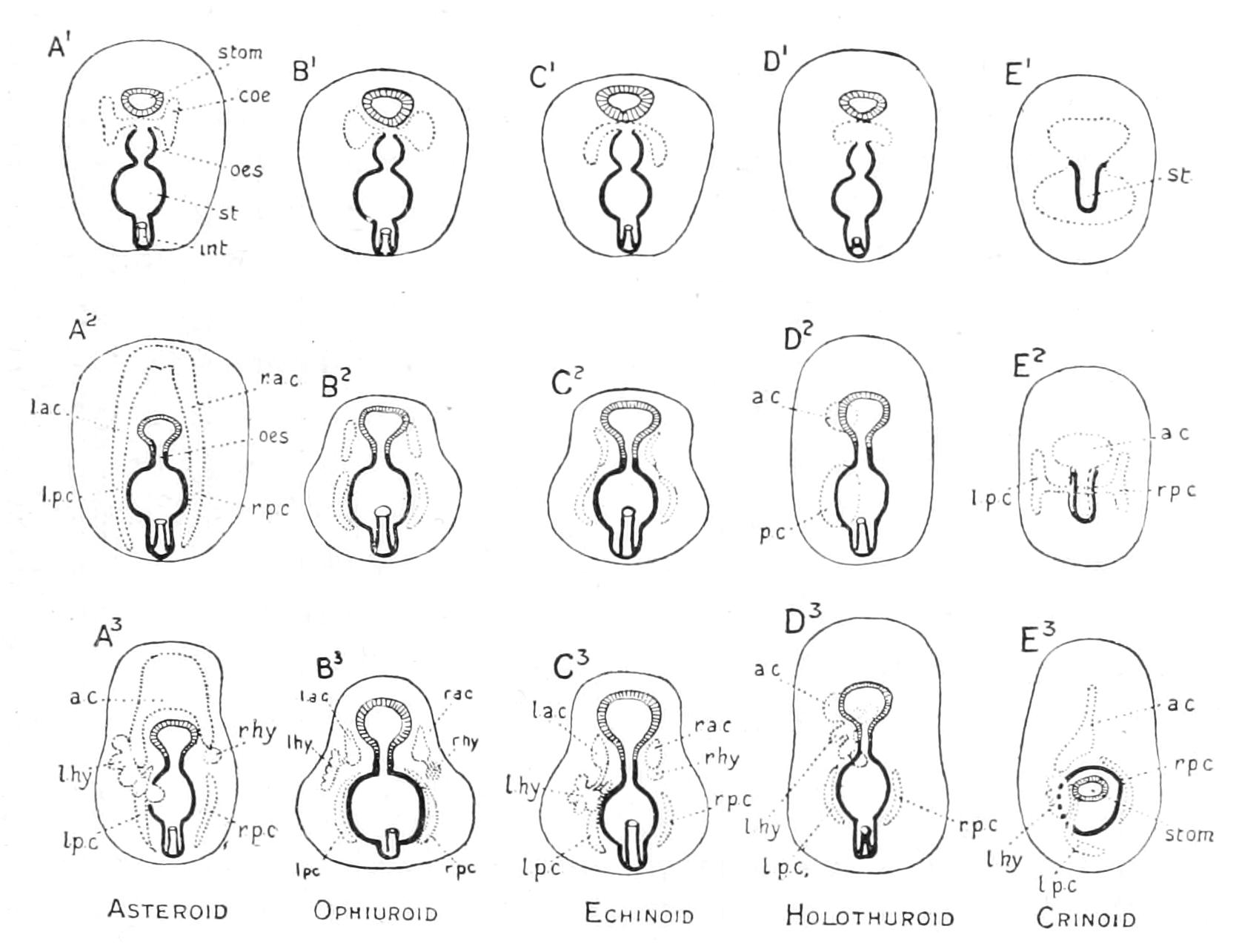 fig287