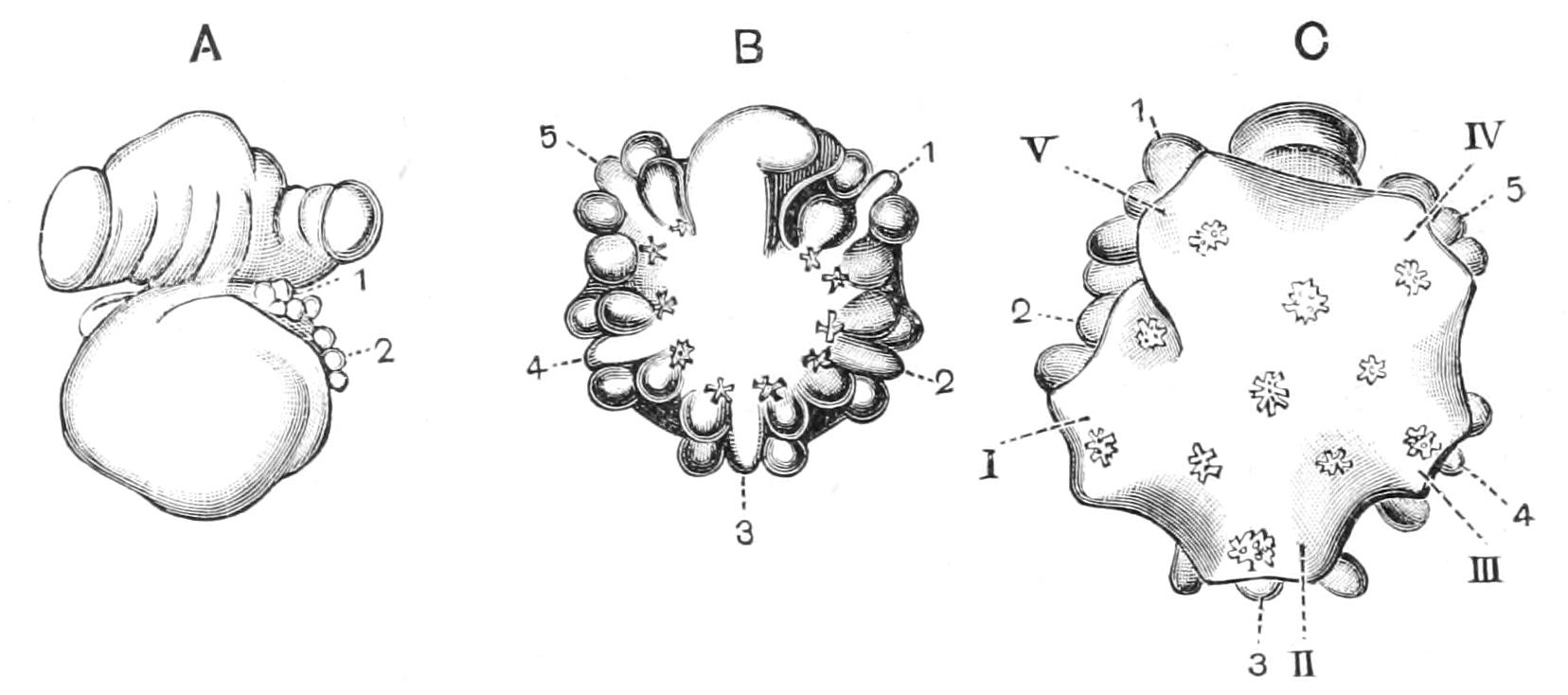 fig289
