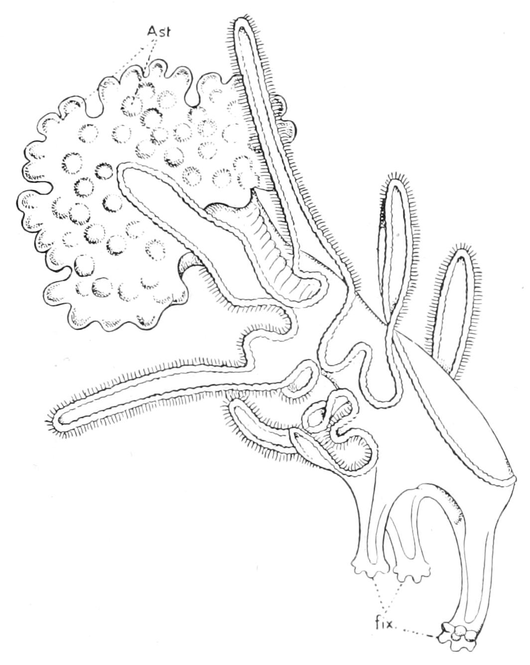 fig290