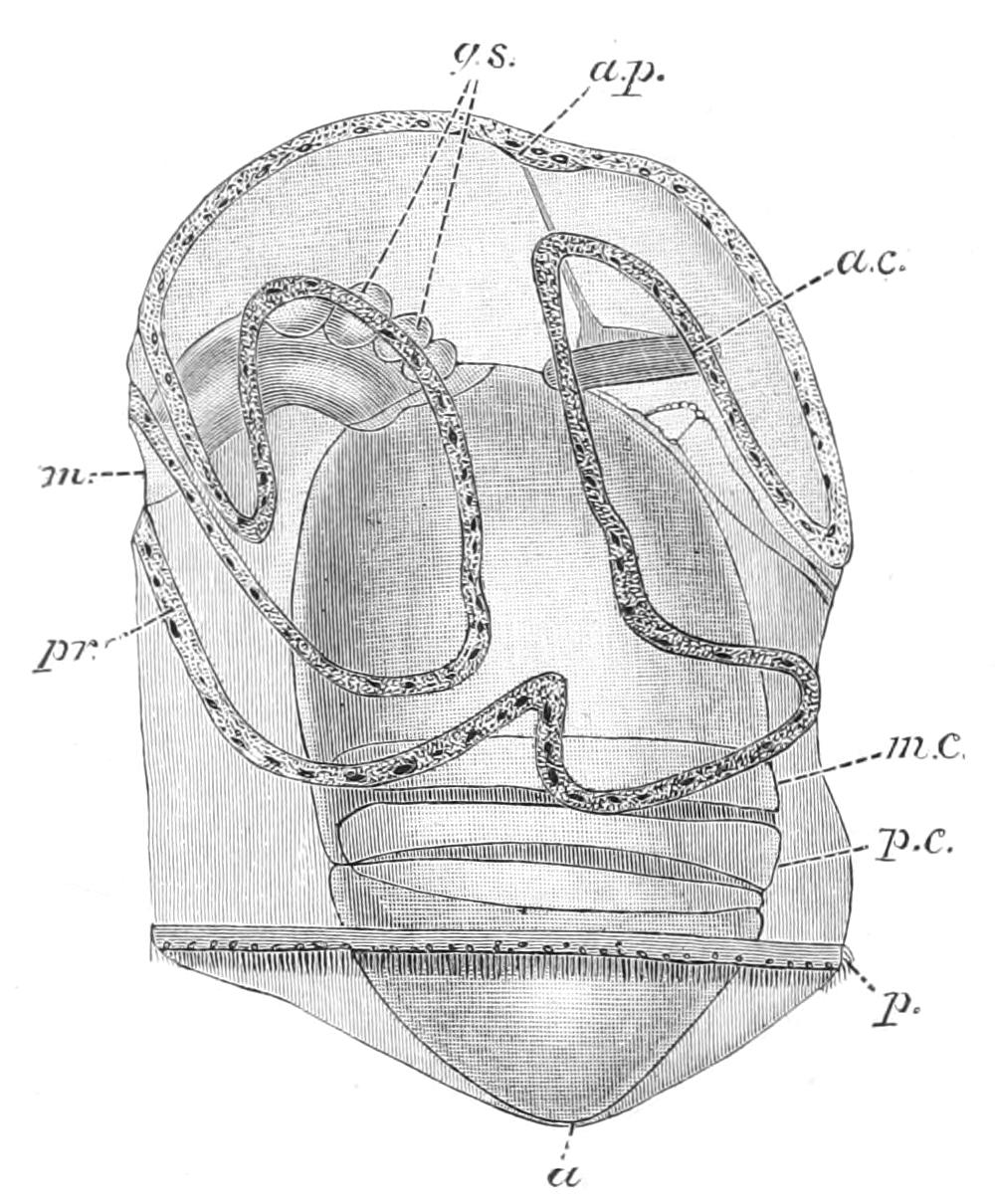 fig293