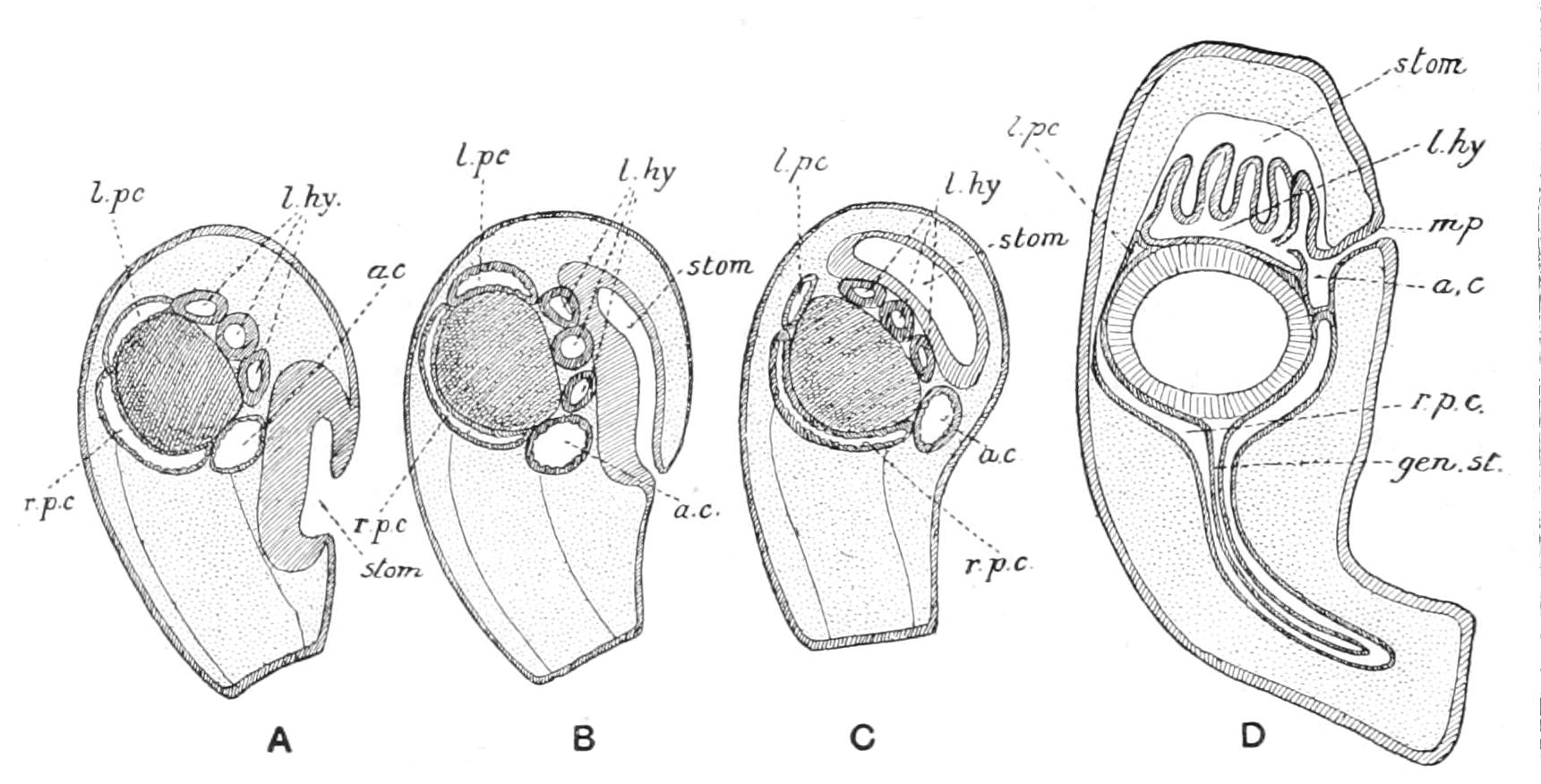 fig295