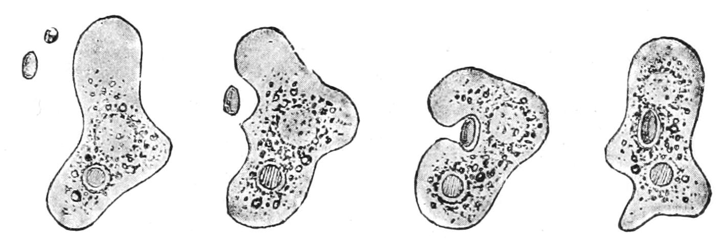 fig3