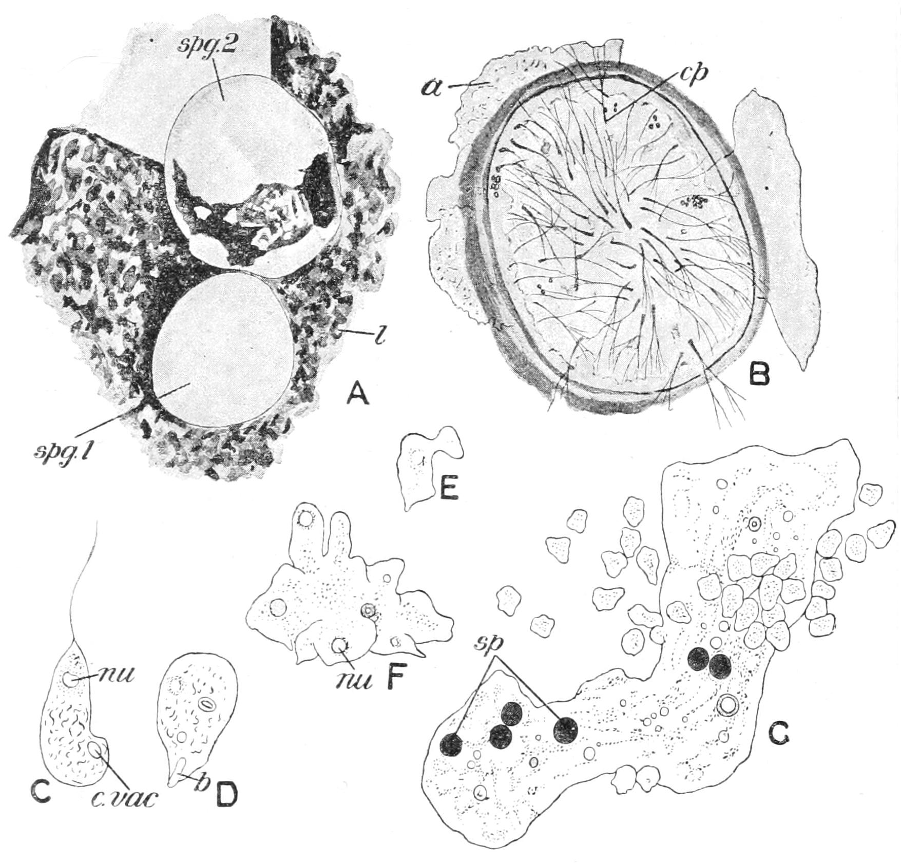 fig30