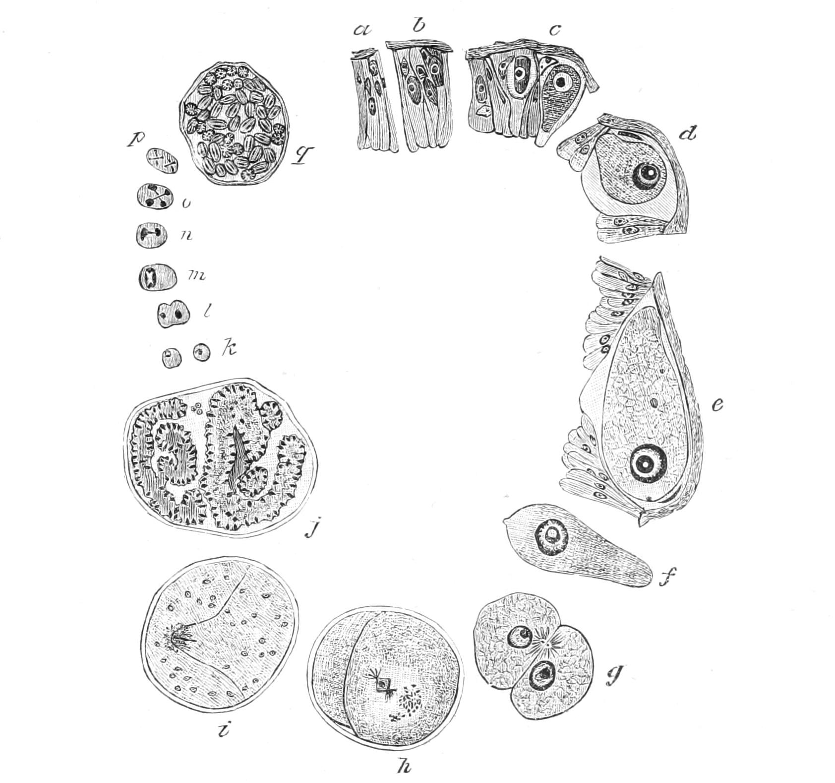 fig31
