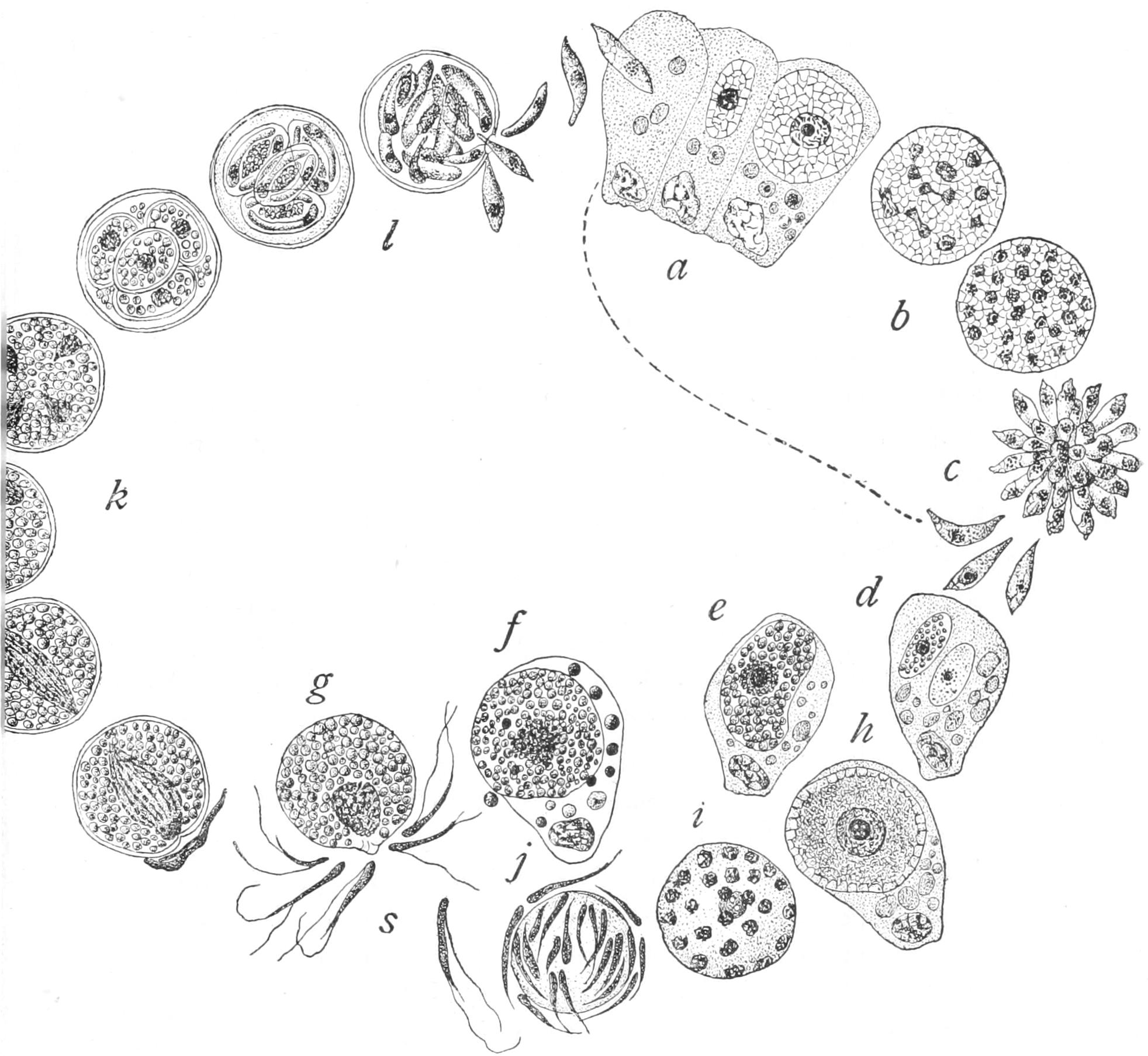 fig34