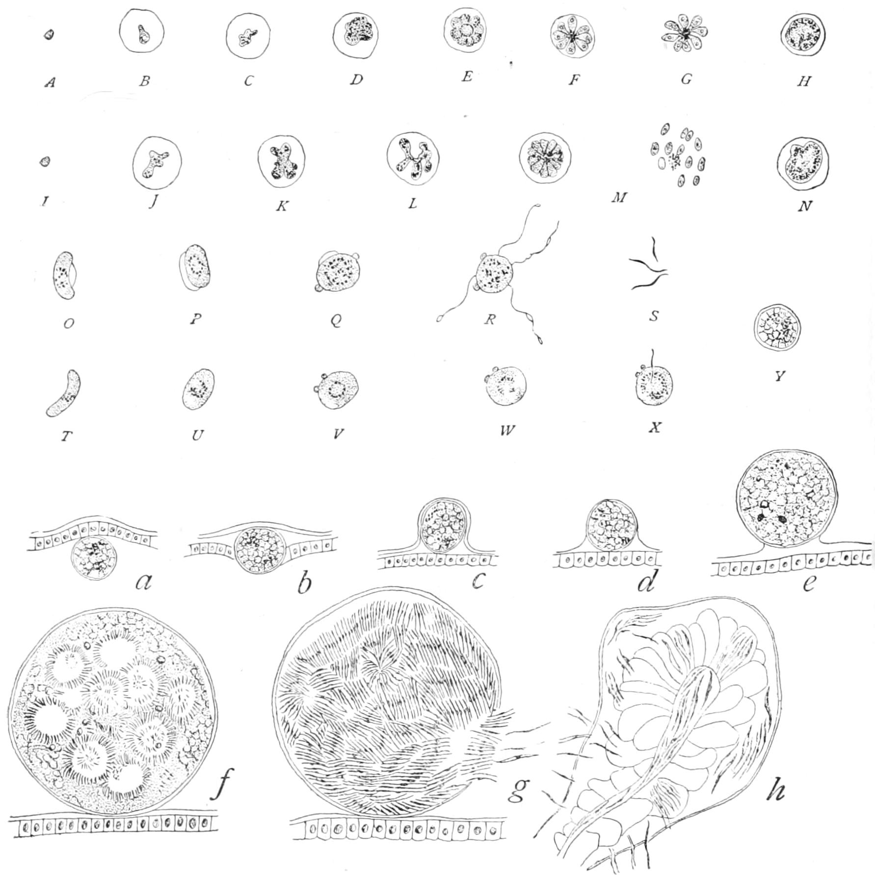 fig35
