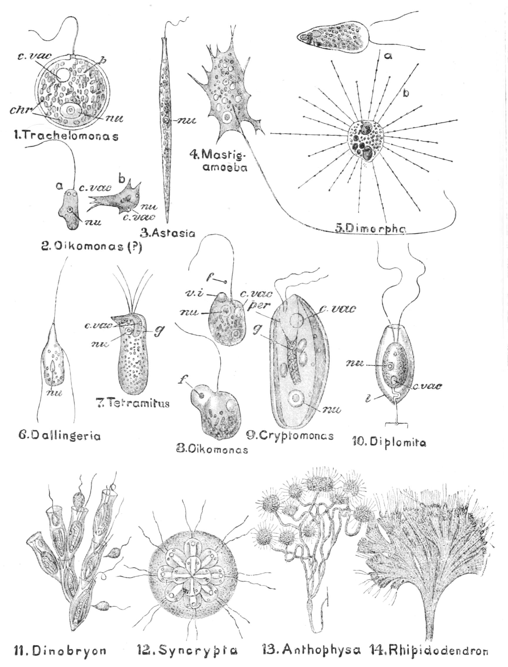 fig37