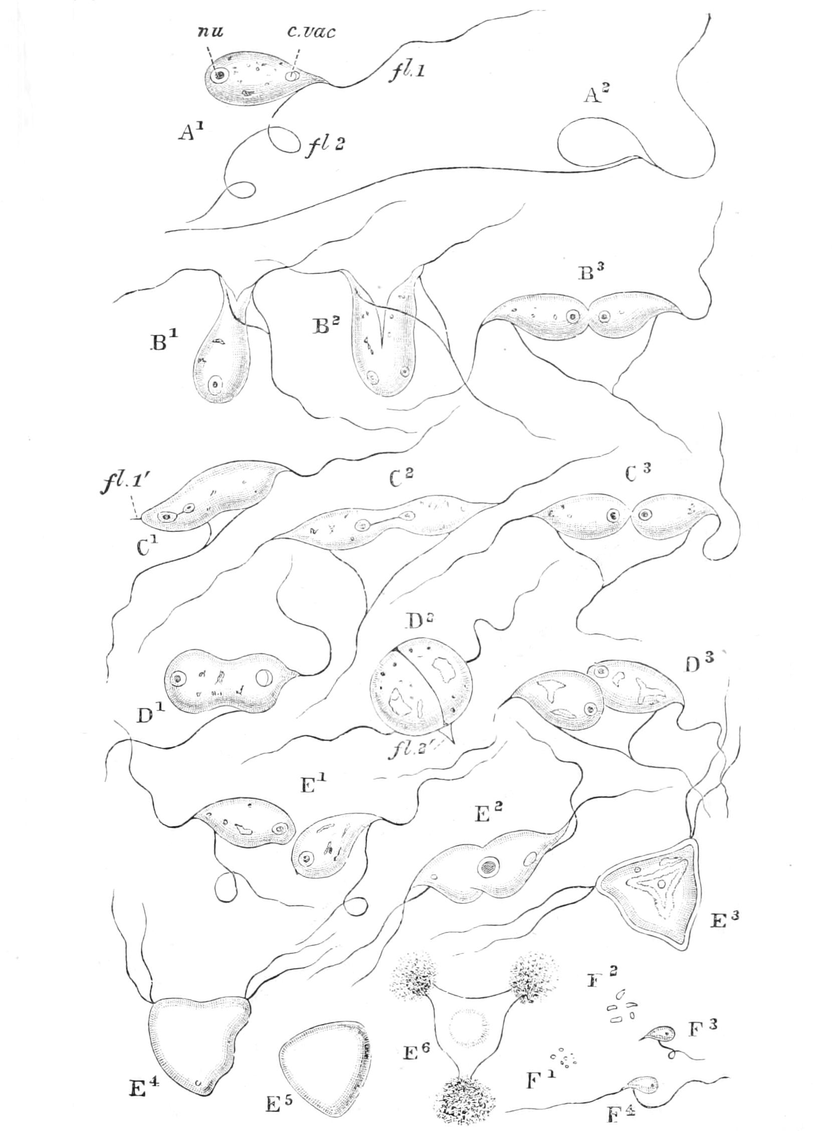 fig38