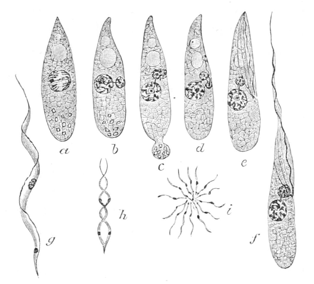fig39