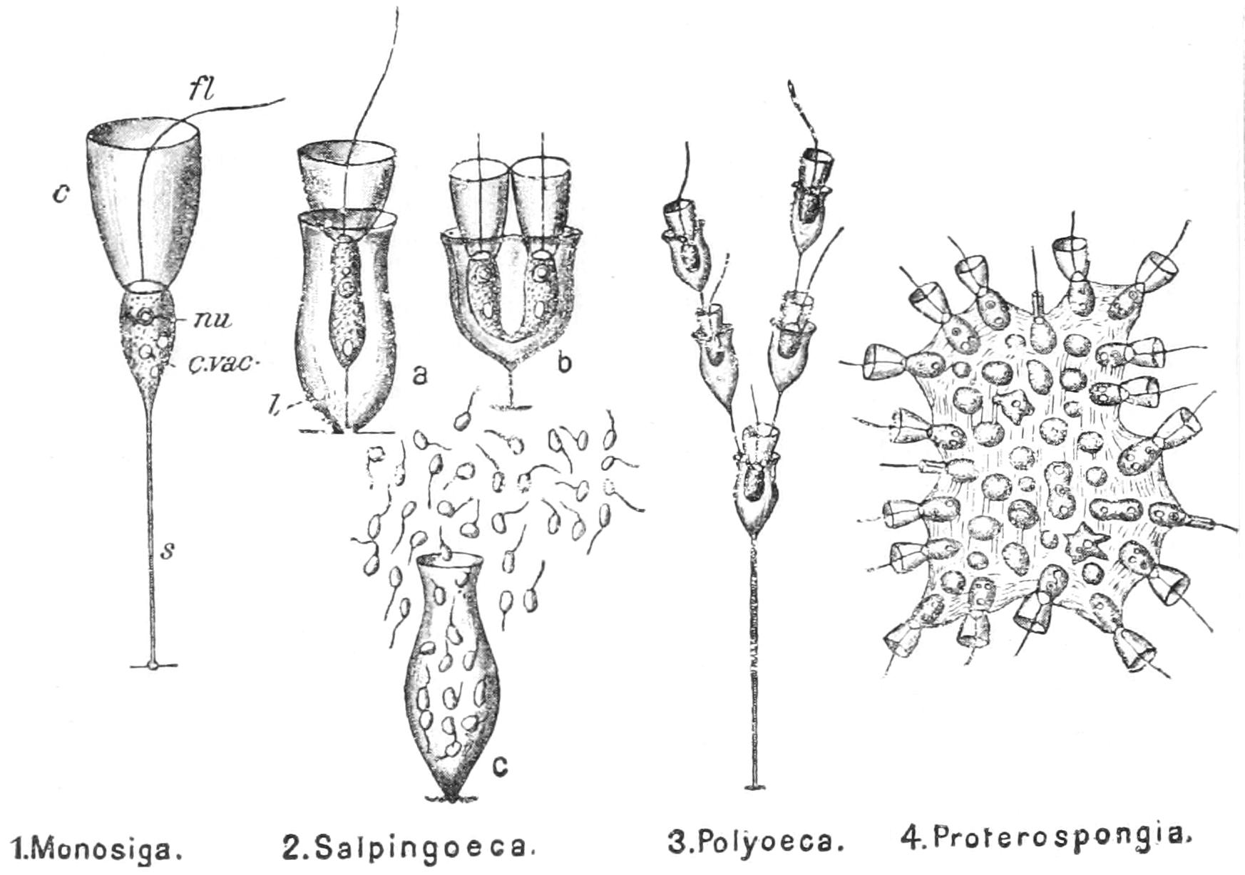 fig40