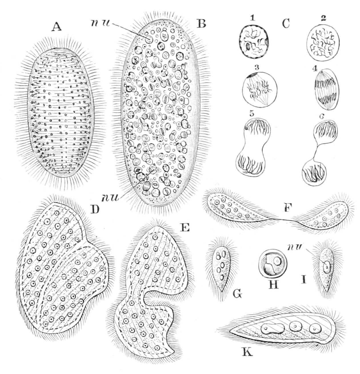 fig41