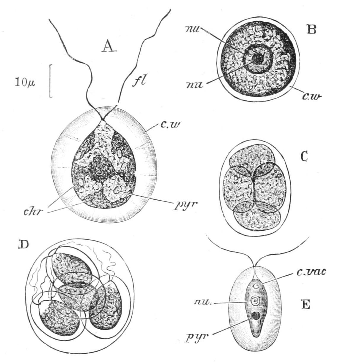 fig43