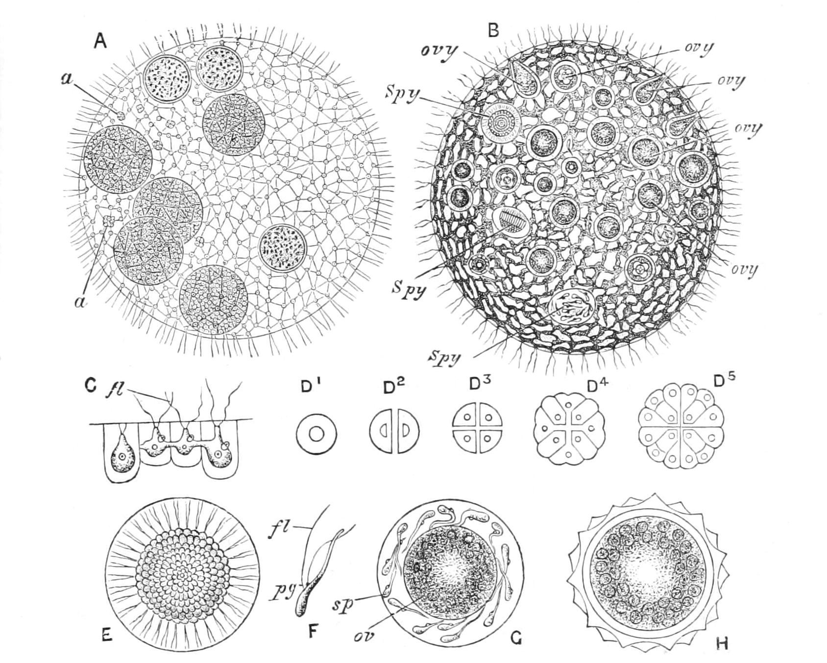 fig44