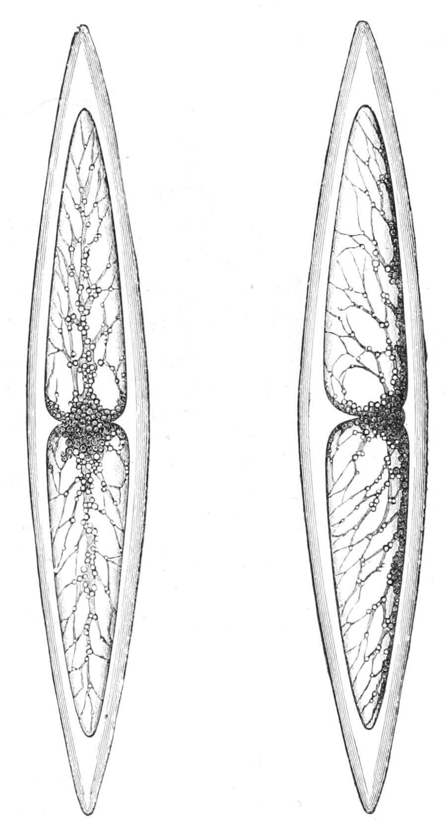 fig47