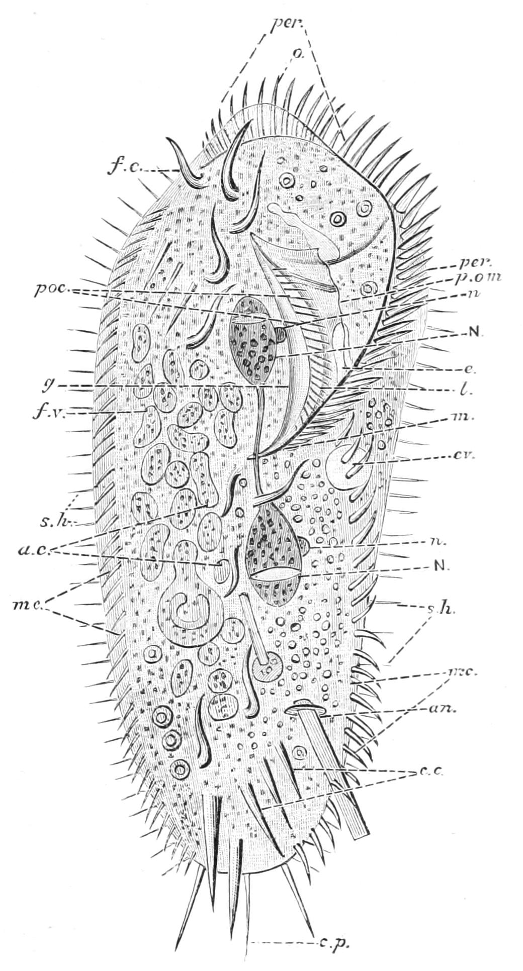 fig49