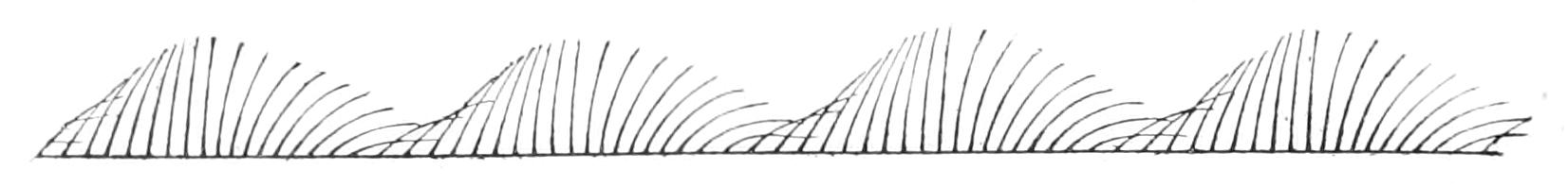 fig5