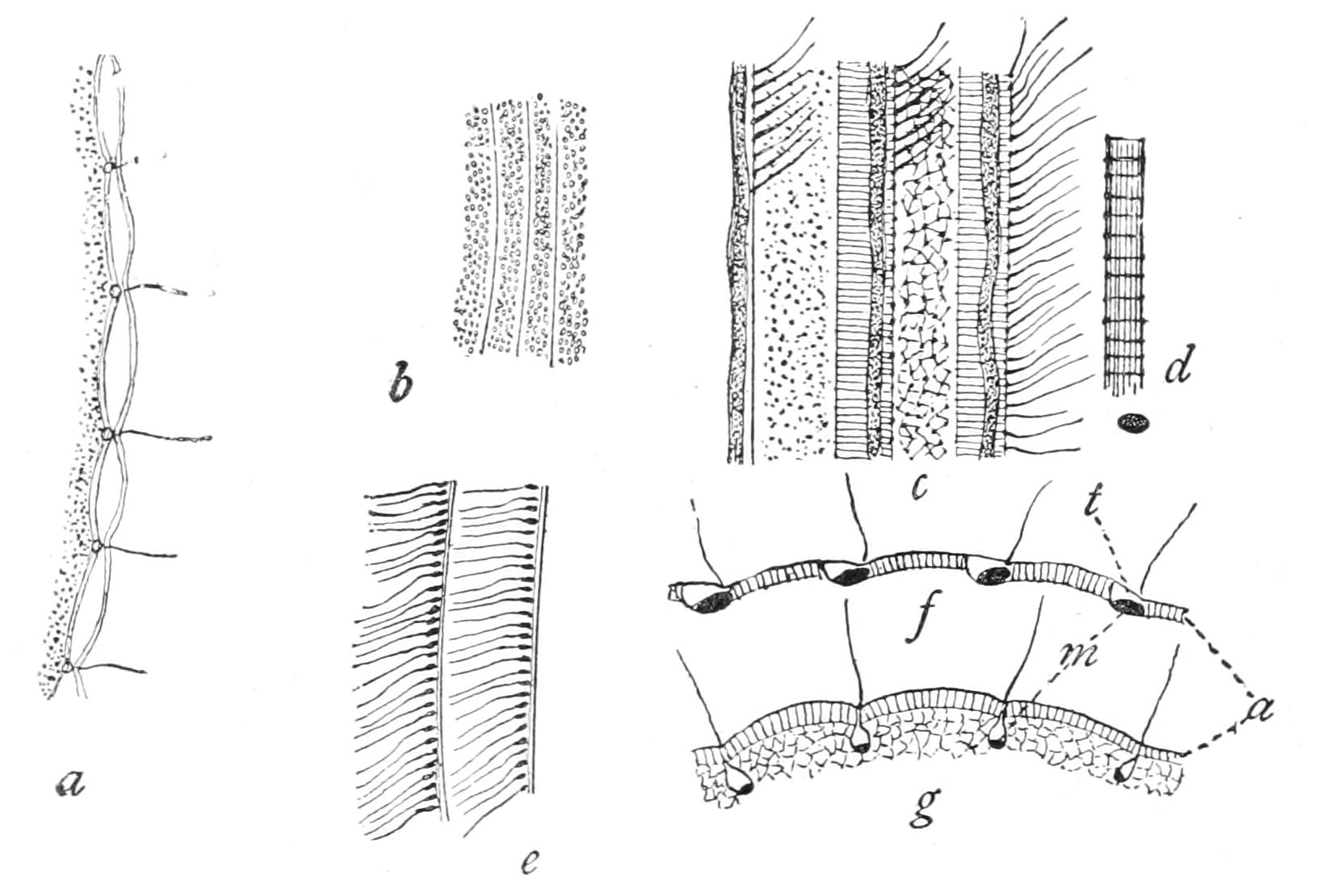 fig50