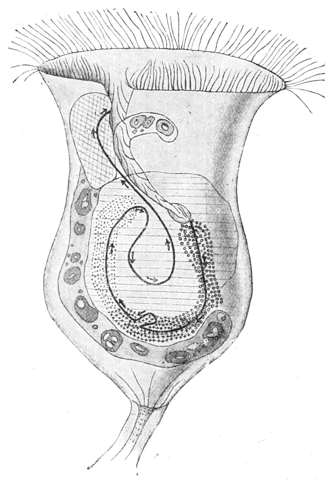 fig51