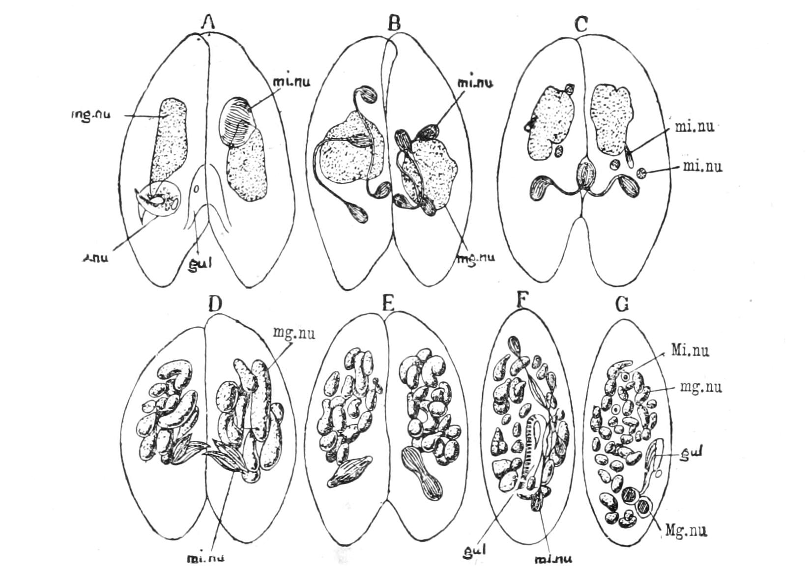 fig52