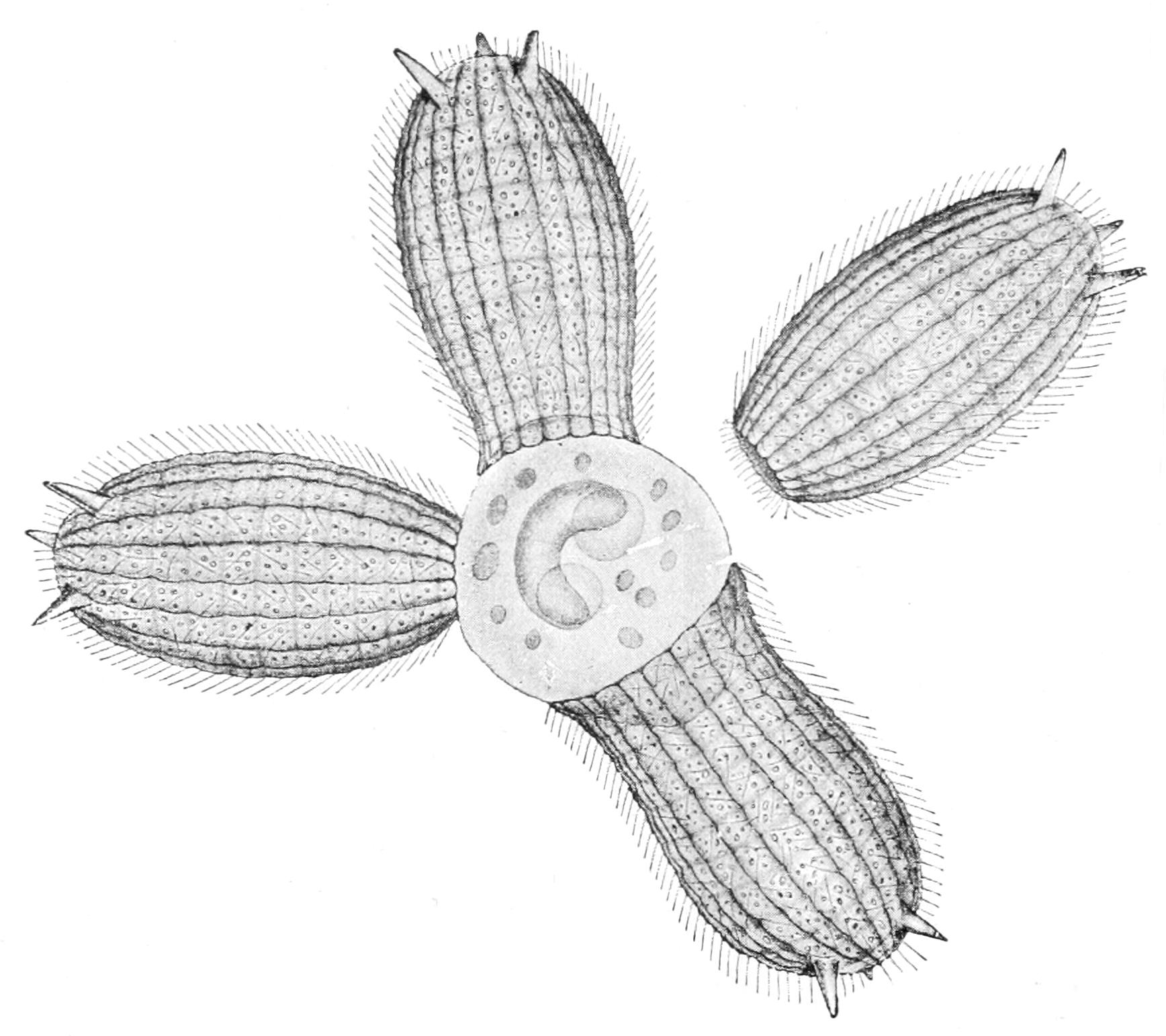 fig54