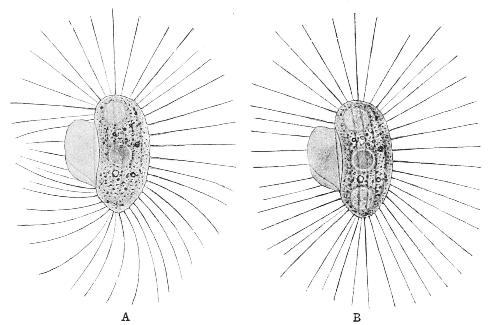 fig57