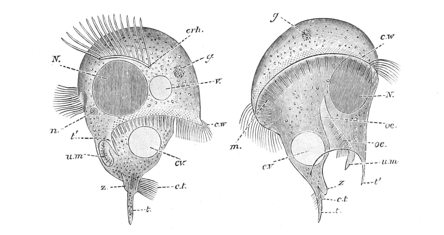 fig58