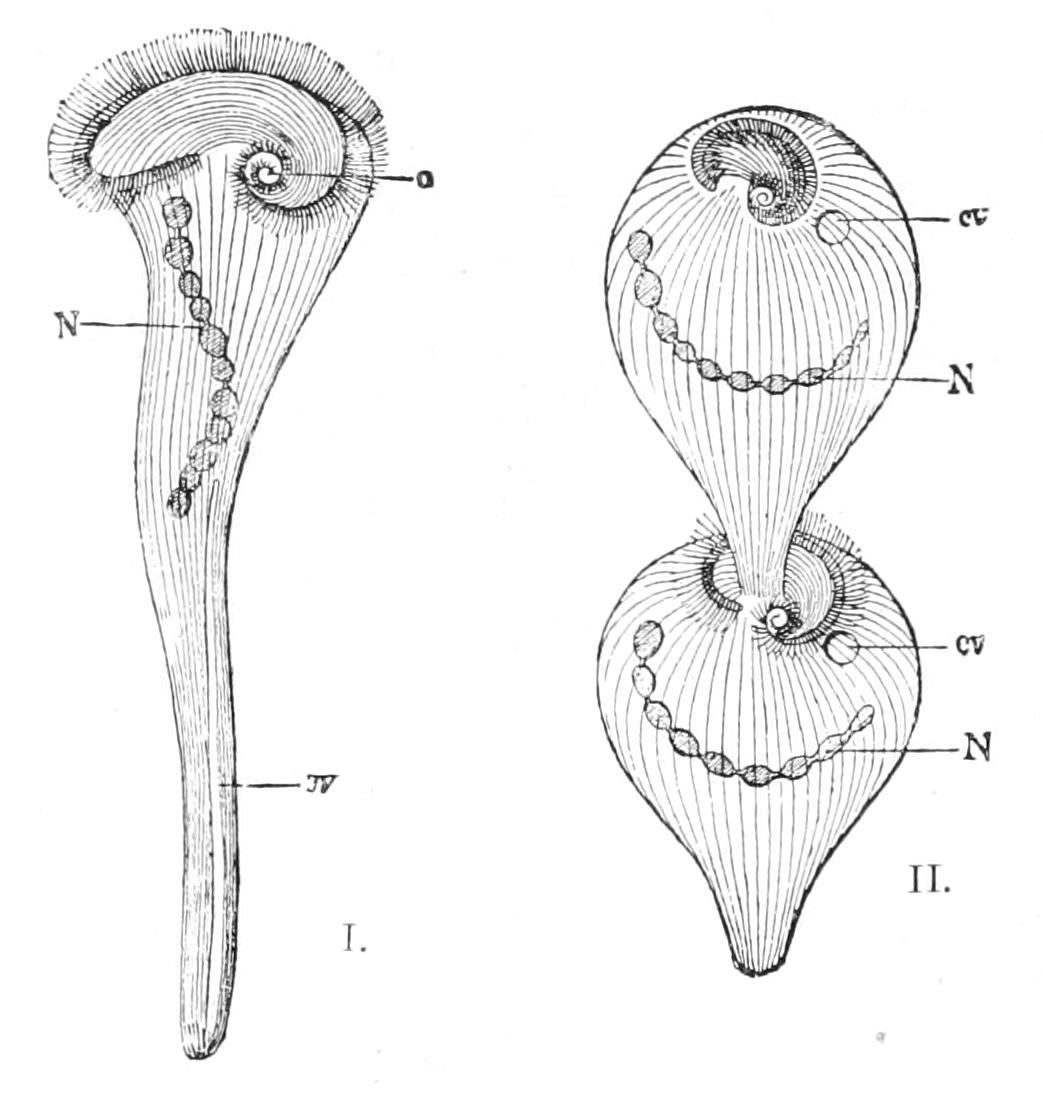 fig59