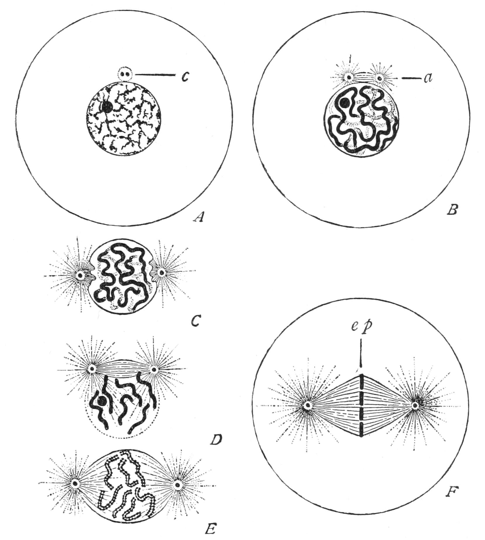 fig6